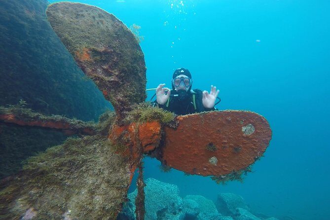 Underwater Archaeology Course - Authentic Experiences and Insights from Participants