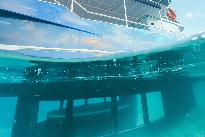 Underwater excursion to Bora Bora - What Makes This Tour Special