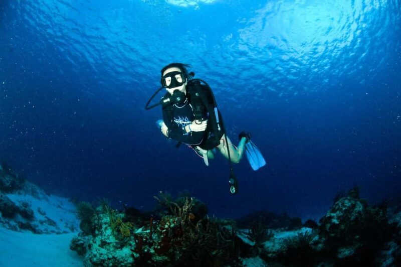 Underwater Museum Musa : SCUBA DIVING FOR BEGINNERS - Final thoughts