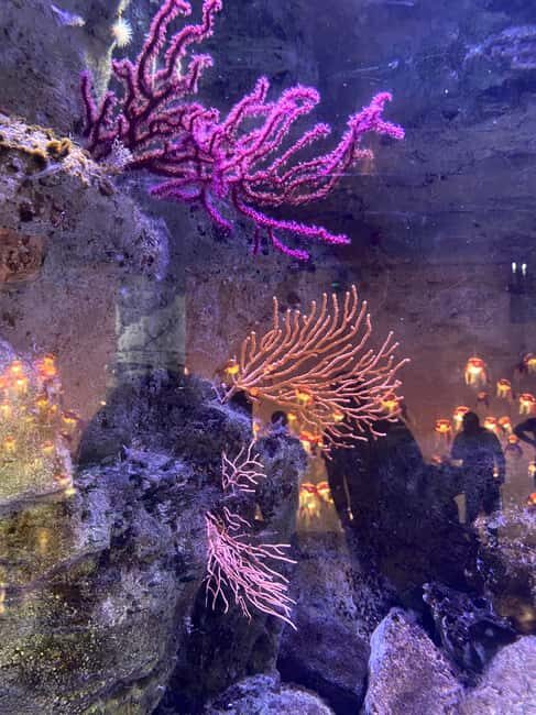 Underwater Paris: A Dreamy Dive into the Aquarium de Paris - How the Tour Is Structured and What to Expect