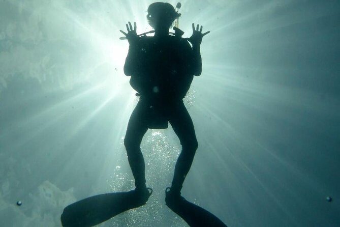 Underwater Scooter Dive (Certified Divers Only) Makena Wailea - Accessibility and Practicalities