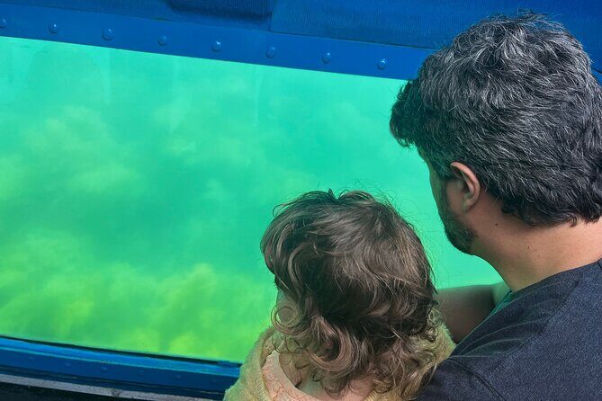 Underwater viewing tours along the coast of Sesimbra - Key Points