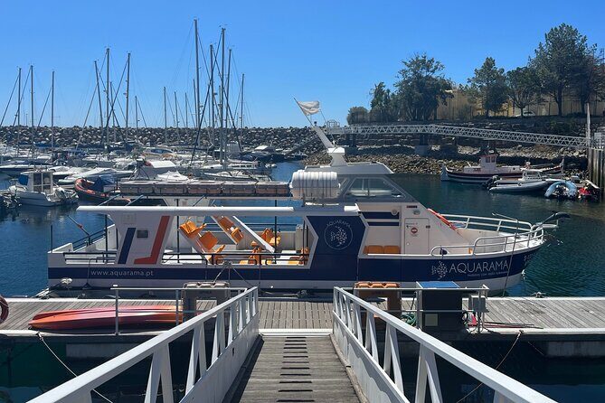 Underwater viewing tours along the coast of Sesimbra - Frequently Asked Questions