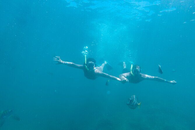 Underwater Wonders Snorkeling Adventure - Who Will Love This Tour?