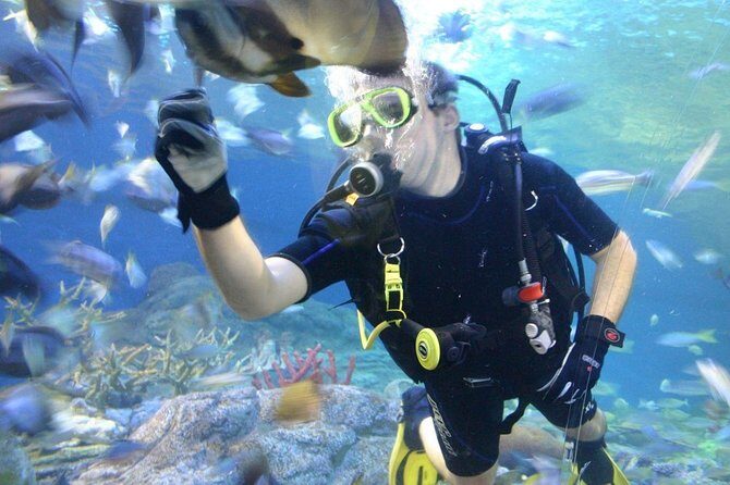 Underwater World at Pattaya Admission Ticket - Who Will Love This Tour?