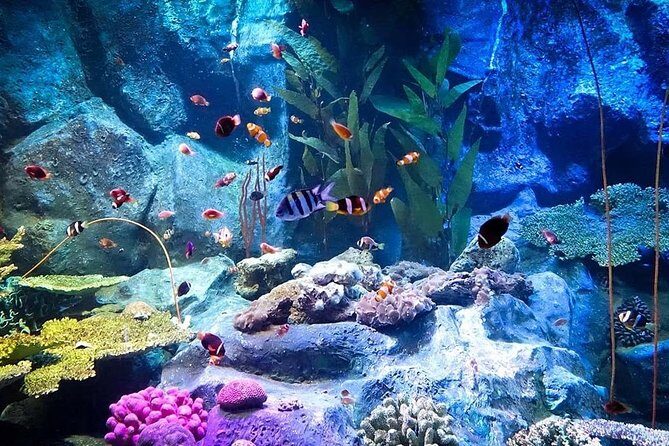 Underwater World at Pattaya Admission Ticket - FAQs