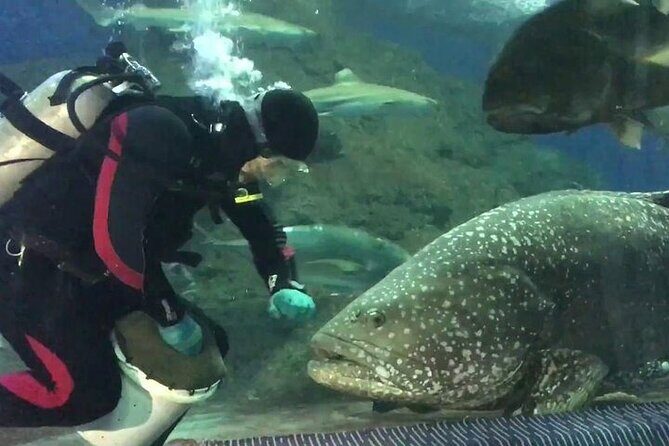 Underwater World in Pattaya Admission Ticket - Who Should Visit?