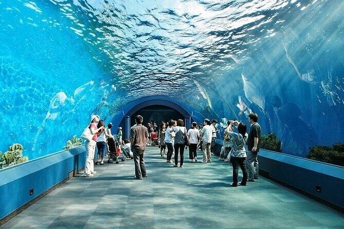 Underwater World in Pattaya Admission Ticket - FAQ