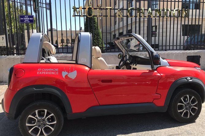 Unesco Champagne Experience from Reims (Private full day tour) - FAQs