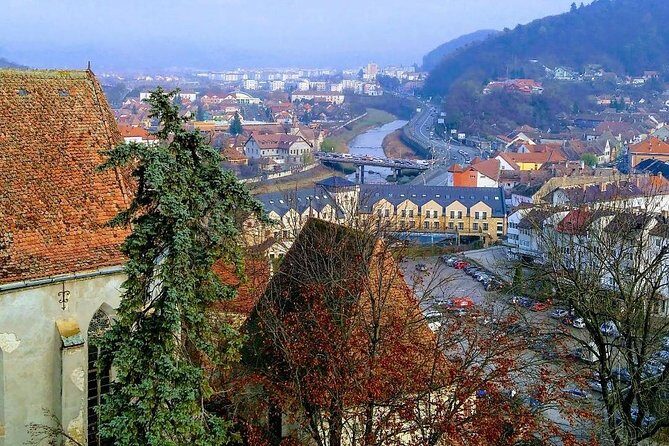 UNESCO Guided Day Tour From Brasov: Sighisoara, Rupea and Viscri - Who Is This Tour Best For?