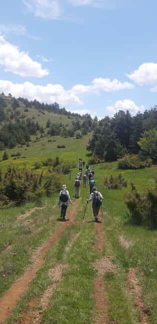 UNESCO Heritage Tour: Ancient Lin & Royal Tombs of Selca - Who Will Love This Tour?