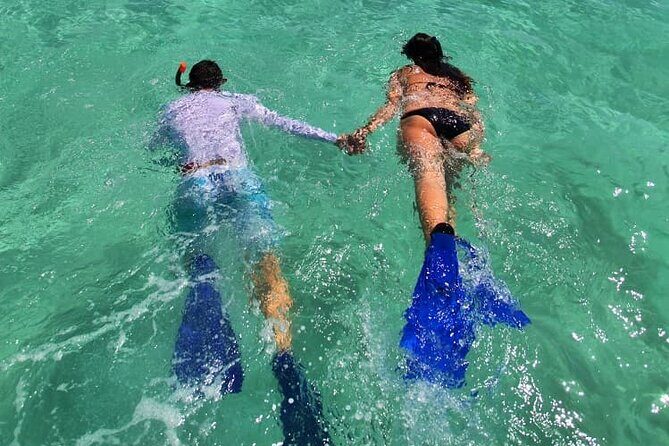 UNESCO World Heritage Site: 1 Day Coronado Island from Loreto Adventure - Price and Value Analysis