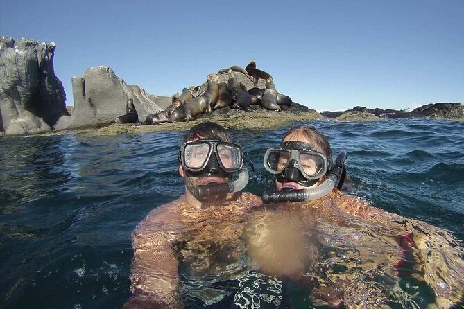 UNESCO World Heritage Site: 1 Day Coronado Island from Loreto Adventure - Who Should Consider This Tour?