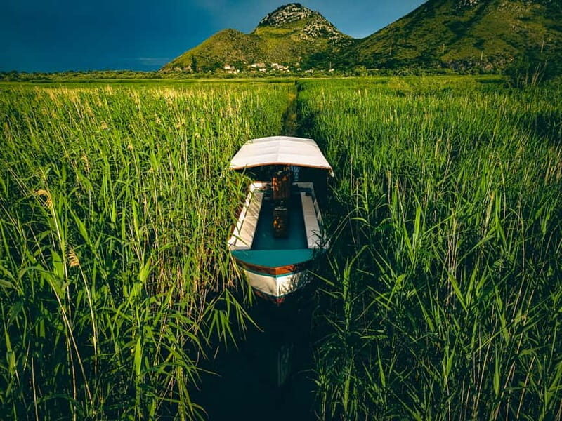 Unforgettable Adventure: Discover SKADAR LAKE - Guided Tour - Who Should Book This Tour?