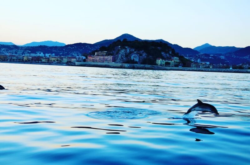 unforgettable boat excursion - What Makes This Experience Stand Out