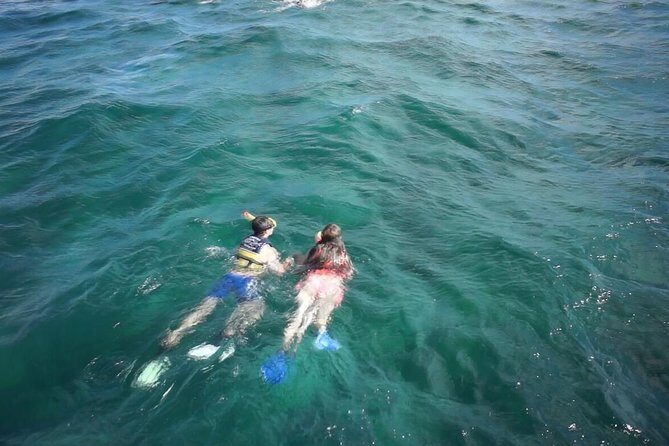 Unforgettable Catamaran Cruise from Cancun to Isla Mujeres - The Sail: A Lively, Scenic Journey