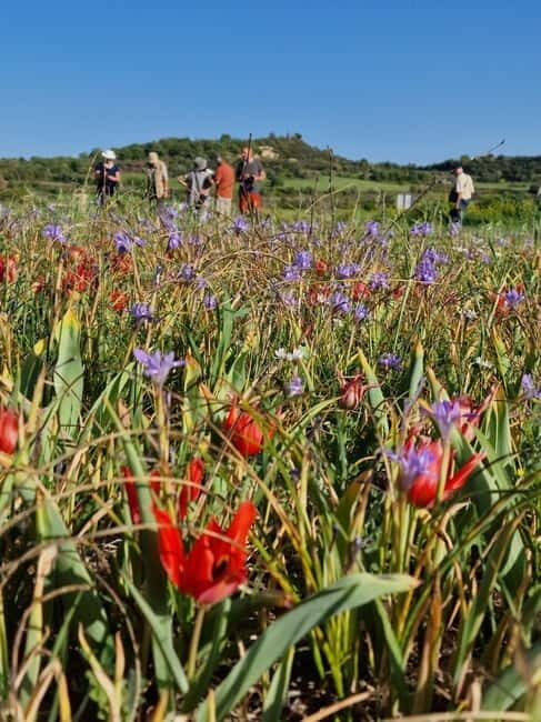 Unforgettable day on safari from Paphos to the Troodos mountains - Key Points