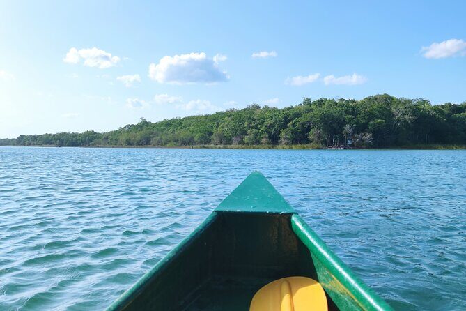 Unforgettable Journey: Coba, Monkey Reserve, and Mayan Cenote - Final Thoughts: Is This Tour Right for You?