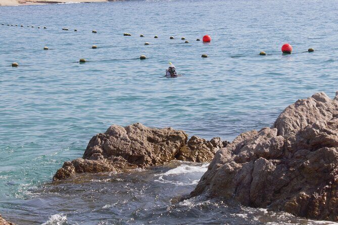 unforgettable snorkeling activity in The Sea of Cortes - The Value of a Short, Focused Snorkeling Trip