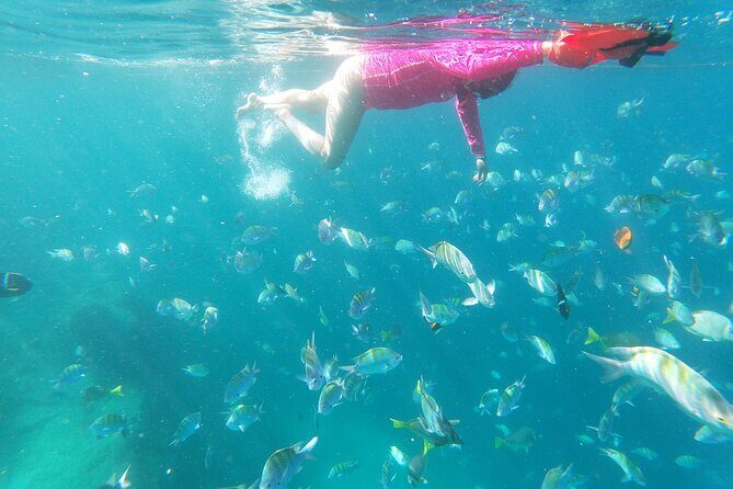 unforgettable snorkeling activity in The Sea of Cortes - Who Will Love This Tour?