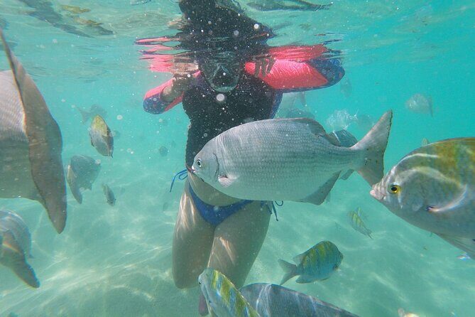 unforgettable snorkeling activity in The Sea of Cortes - FAQ