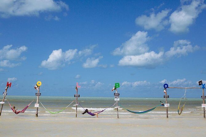 Unforgettable Tour to Magic Island of Holbox from Riviera Maya - What Past Travelers Say