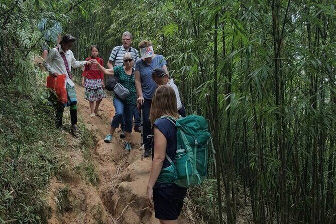 Unforgettable Trekking Experience 6 Hour in Sapa - A Deep Dive into the Trekking Route