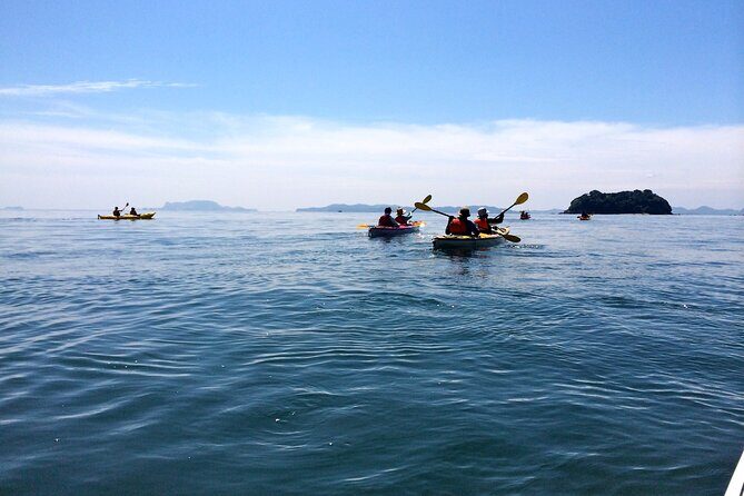 Uninhabited Island Kayak Cruise and Adventure in Seto Inland Sea - Who Will Love This Tour?