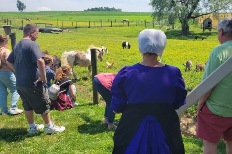 Unique Amish Immersion Experience - A Detailed Look at the Amish Immersion Experience