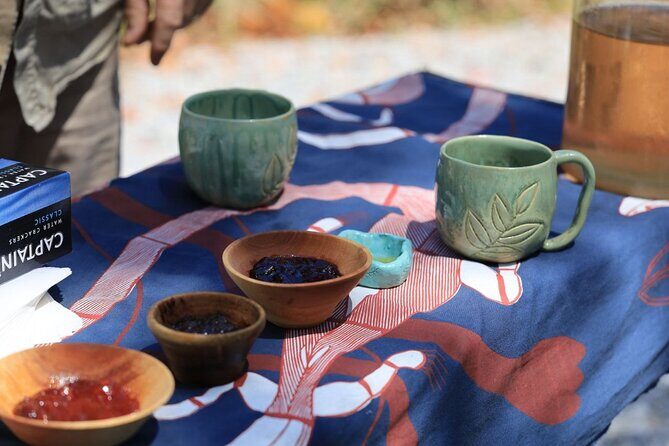 Unique and Personal BushTracks Eco Tour in Agnes Water 1770 - Authentic Experiences & Reviewer Insights