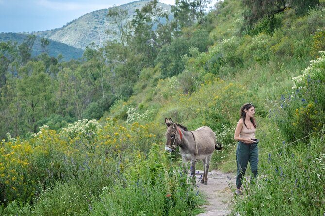 Unique cablecar experience, pulque tasting &unbeatable views - What the Reviews Say