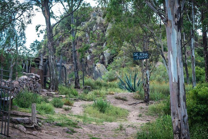 Unique cablecar experience, pulque tasting &unbeatable views - The Sum Up: Why You Should Consider This Tour