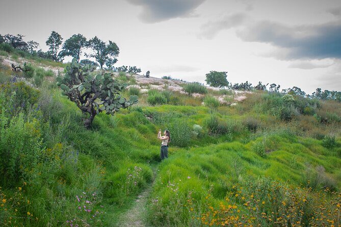 Unique cablecar experience, pulque tasting &unbeatable views - FAQ
