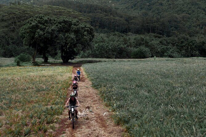 Unique excursion to Moorea on a 100% electric motorbike - Authentic Feedback from Participants