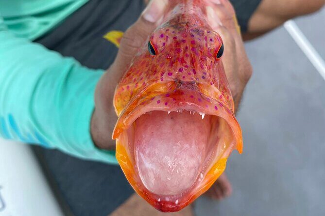 Unique in Raiatea: discover the lagoon, fish, cook, enjoy! - Scenic Stops and Relaxation