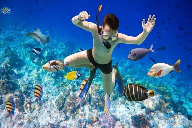 Unique Phu Quoc Full Day Diving Tour with Pro Guide - Final Thoughts: Is This Tour Right for You?