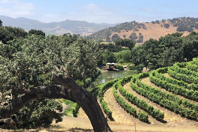 Unique Santa Barbara Wine Country Private Wine Tours and Tastings - The Experience: An In-Depth Look