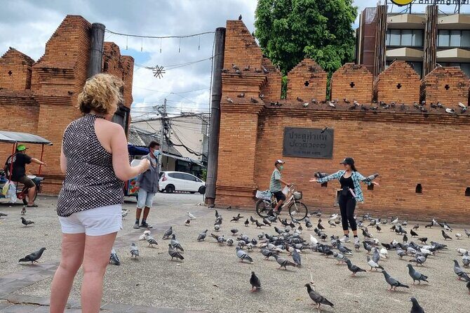 Unique Tour Unknown Chiang Mai - What Travelers Are Saying