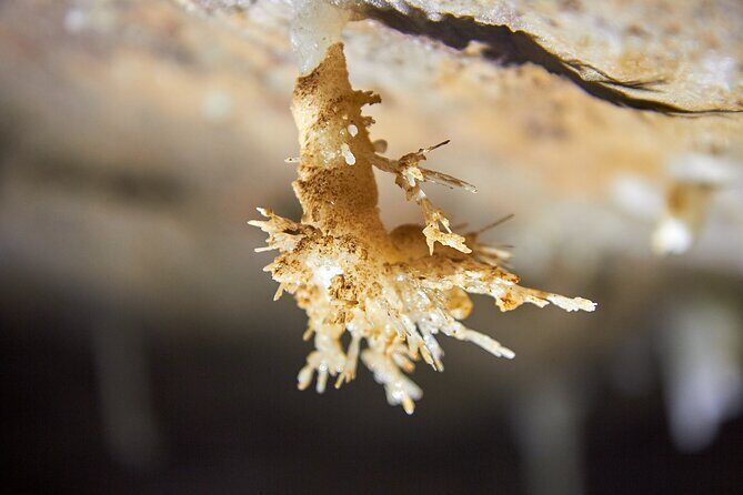 Unique Underground Experience in Soprador do Carvalho Cave - FAQ