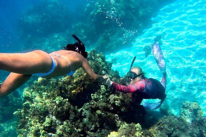 Unlimited Guided Snorkeling Tour for Beginners Plus - Starting Point and Meeting Logistics