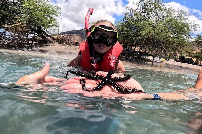 Unlimited Guided Snorkeling Tour for Beginners Plus - The Practical Details