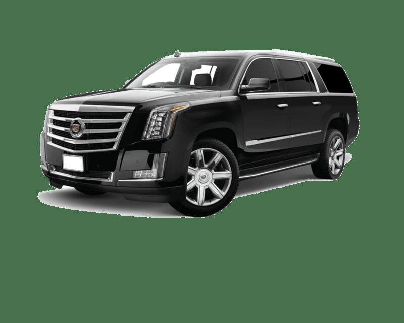 Uno Lake Front Arena: Transportation to New Orleans - Who Is This Service Best For?