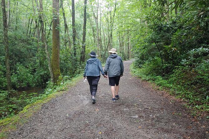 Unplugged Waterfall Hike in the Smokies - The Sum Up