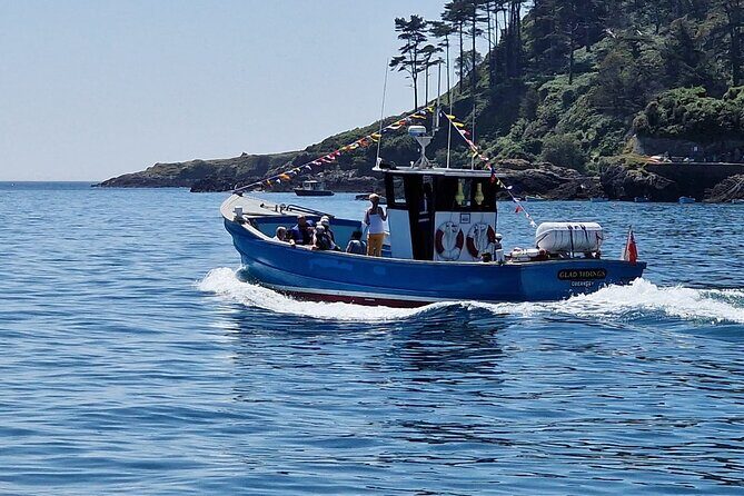 Unrivalled Coastal Tour to Saint's Bay Harbour - Who Will Love This Experience?