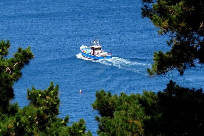 Unrivalled Coastal Tour to Saint's Bay Harbour - The Sum Up