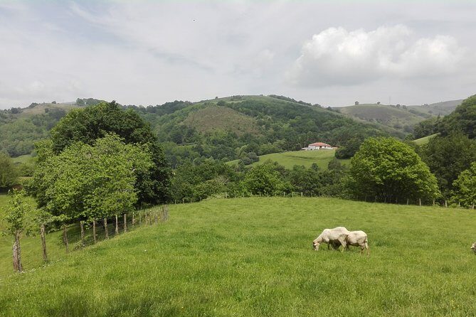Unspoiled FRENCH BASQUE COUNTRYSIDE - Private Cultural Adeventure - Food and Cultural Highlights
