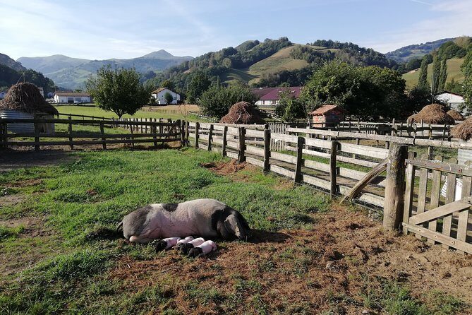 Unspoiled FRENCH BASQUE COUNTRYSIDE - Private Cultural Adeventure - Practical Details and Tips