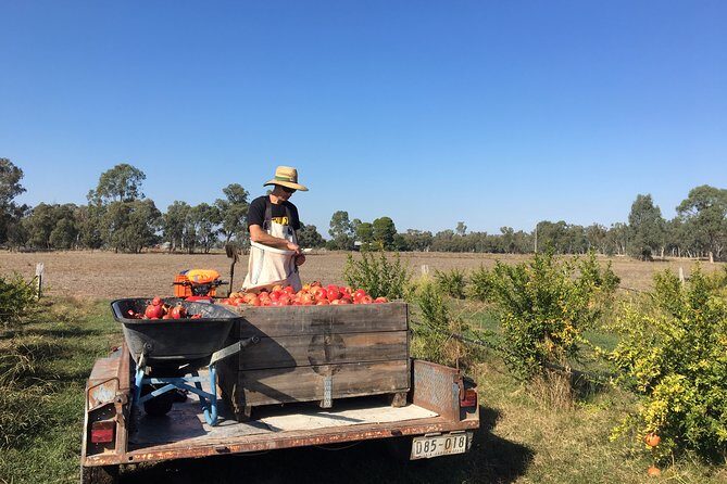 Unspoiled Spain: Food & Wine Tasting for Foodies & Nature Lovers - The Sum Up