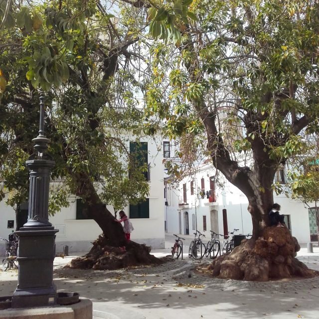 Unusual Barcelona Bike Tour in French - Final Thoughts: Why Choose This Tour?