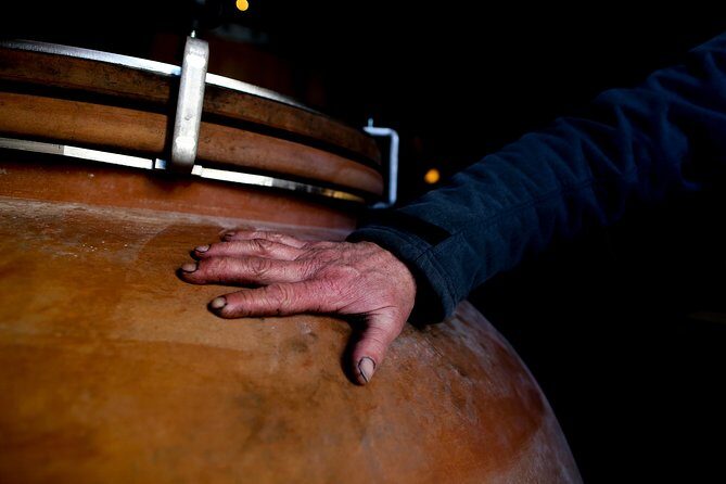 Unusual visit & Tasting of our organic wines - A Deep Dive Into the Château de Luc Organic Wine Tour